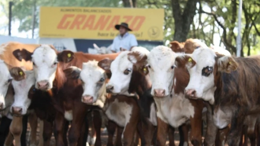 Los pequeños a la Feria