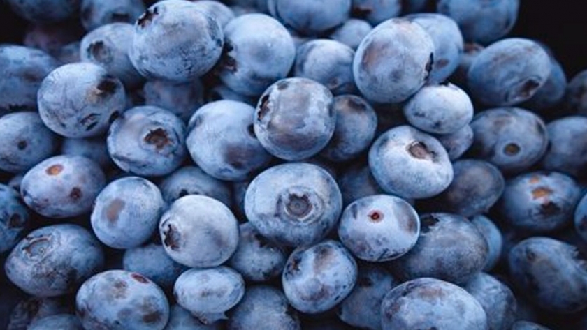 Producir más de 7.700 toneladas de arándanos