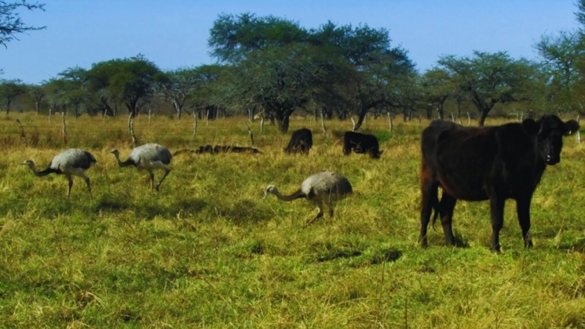 Hoy se celebra el día mundial de la biodiversidad