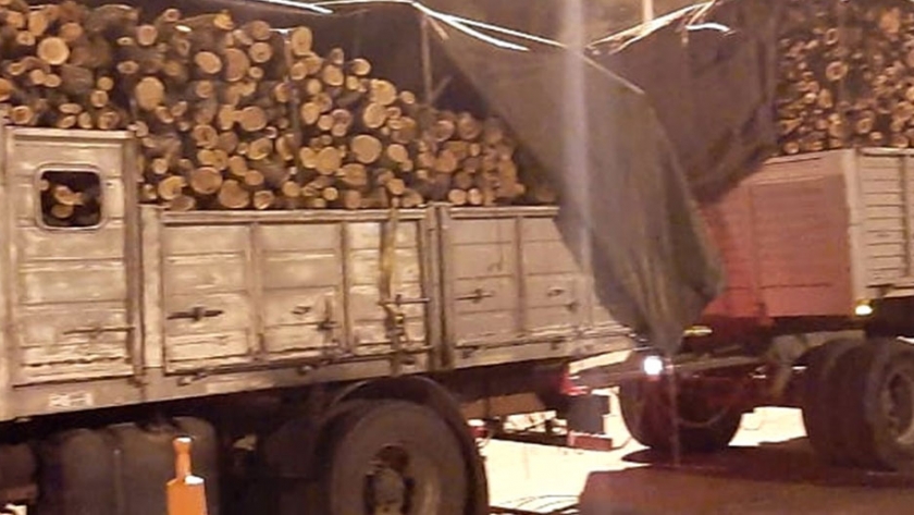 Se decomisaron productos forestales que eran transportados de manera irregular