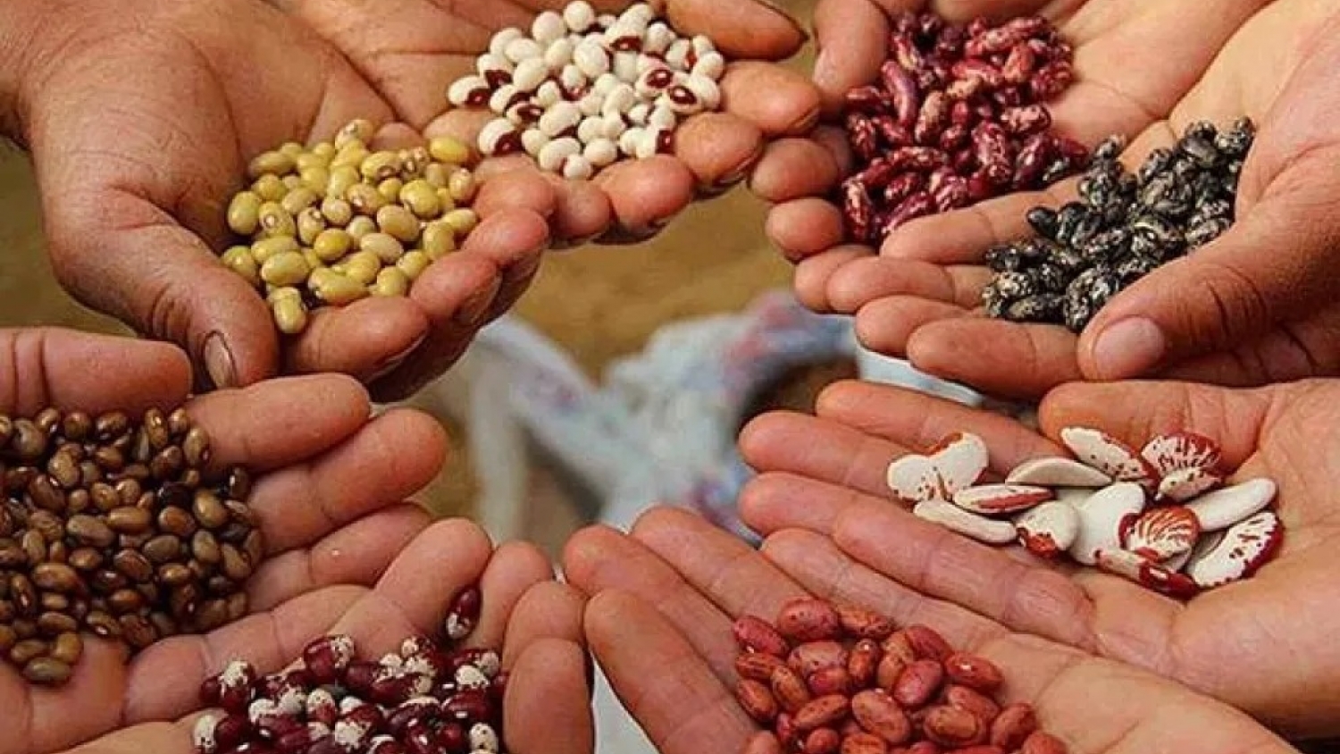 Reorganizan el INASE: el Gobierno redefine su estructura sin aumentar el presupuesto