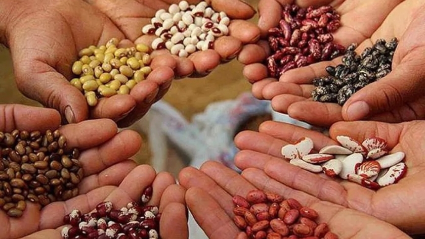 Reorganizan el INASE: el Gobierno redefine su estructura sin aumentar el presupuesto