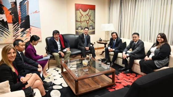 El Gobernador Sáenz avanza en el proyecto sustentable de litio con PLASA en el Salar de Diablillos