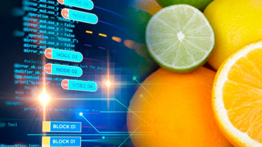 El sistema de trazabilidad citrícola incorpora la tecnología blockchain