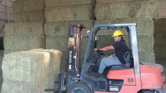 Se certificó en San Luis la exportación de 495 tn de alfalfa con destino a Arabia Saudita