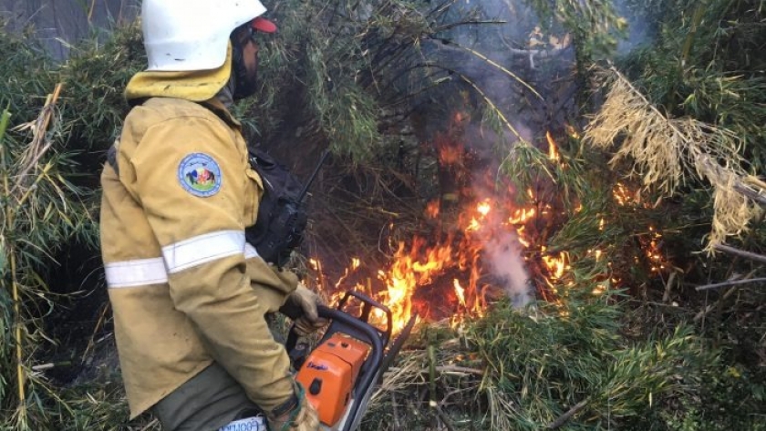 Regresan los brigadistas mendocinos de combatir los incendios en la Patagonia