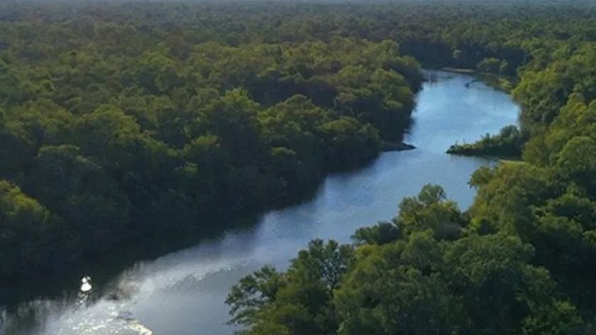 Chaco sostenible: se realizó de manera virtual el foro ambiental municipal en la Región 8