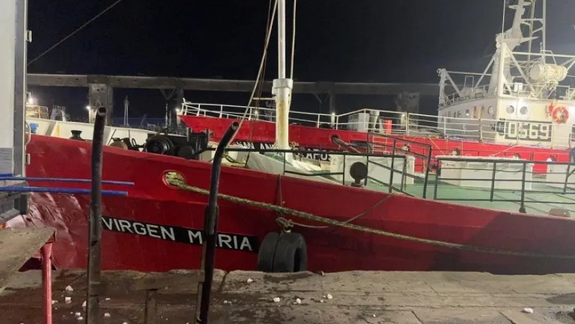 Descarga de pescado en los muelles de Mar del Plata: Tradición y eficiencia