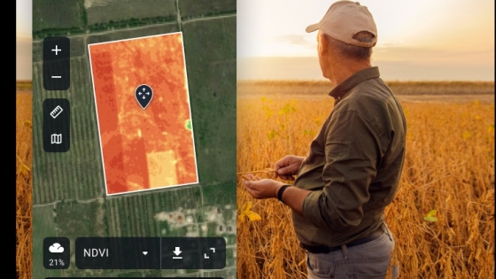 Análisis de datos satelitales en Latinoamérica: El auge de la agricultura inteligente
