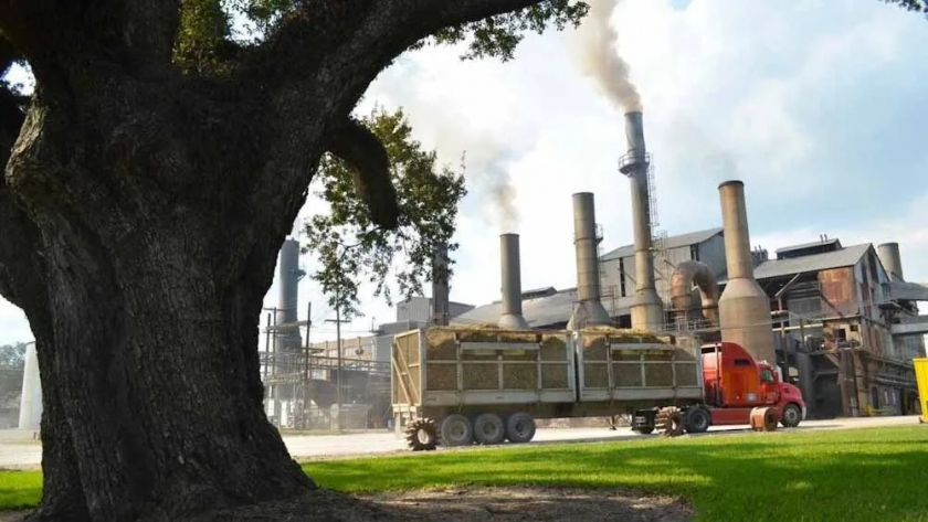 Bagazo de Caña de Azúcar para calmar el apetito europeo por los pellet de Biomasa