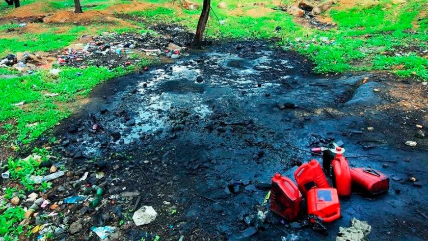 Recuperar suelos contaminados sin dañar el ambiente es posible con la fitorremediación