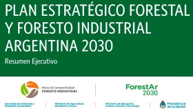 Plan Estratégico Forestal y Foresto-Industrial Argentina 2030