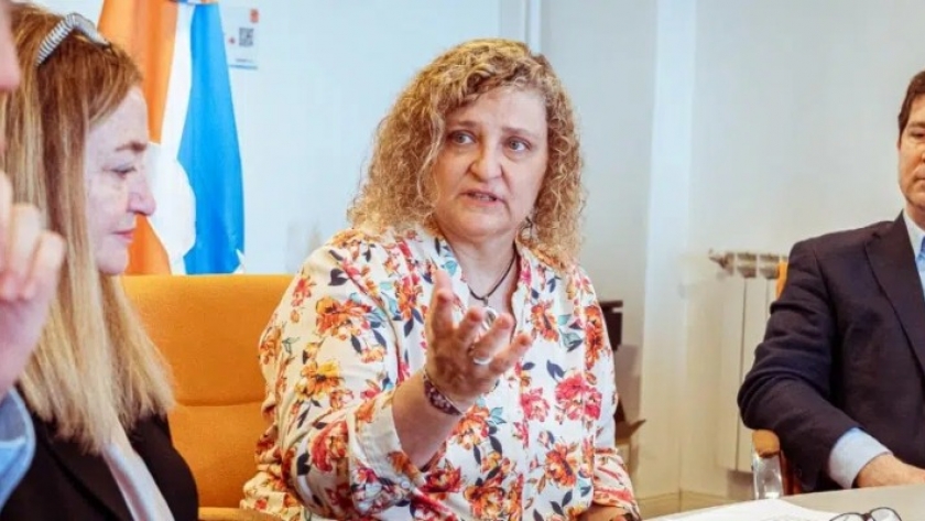 Se desarrolló el Taller de Validación de los Lineamientos para la Transformación Productiva entre Provincia, Nación y CEPA