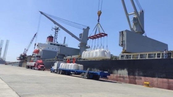 El NOA lideró el salto exportador del azúcar argentino en la campaña 2025-2026