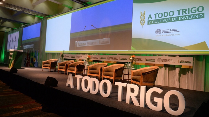 A Todo Trigo, un espacio virtual para analizar las perspectivas del cereal