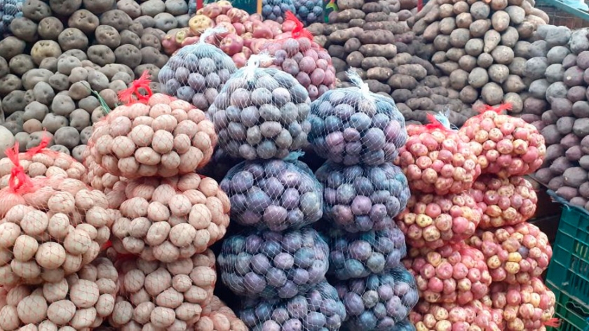 Agricultores peruanos perdieron 8.000 millones de dólares por prohibición a los transgénicos