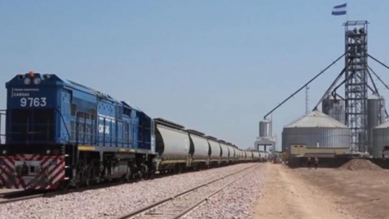 Belgrano Cargas: las cerealeras ganan terreno tras la salida mexicana (