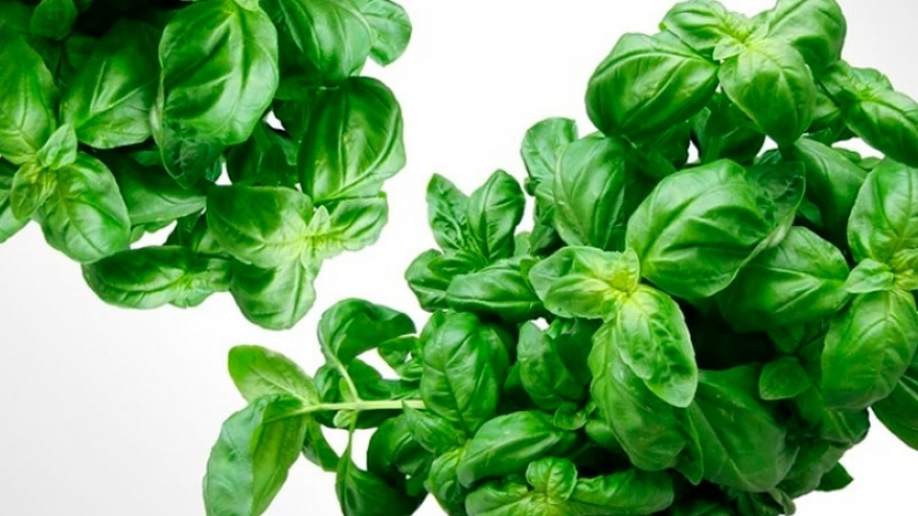 El mejor remedio casero para combatir una intoxicación alimentaria