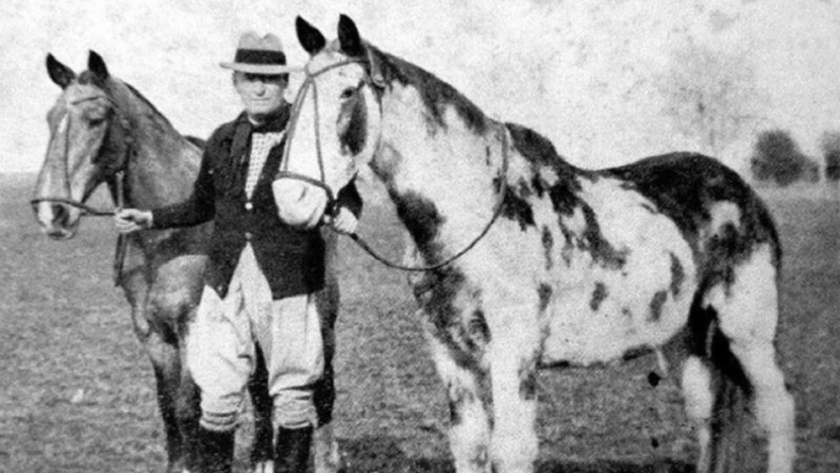 Día Nacional del Caballo: por qué se festeja este 20 de septiembre