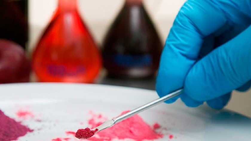 El INTI desarrolló un colorante a base de ciruela beneficioso para la salud