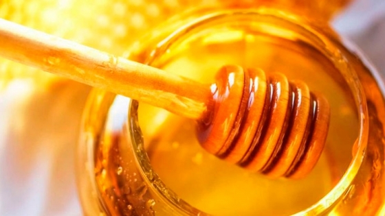 Exportaciones: Chaco afianza su producción de miel orgánica