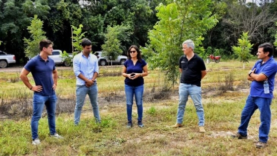 El pecán tucumano se prepara para brillar en Dubái: autoridades visitaron campos de producción en Trancas