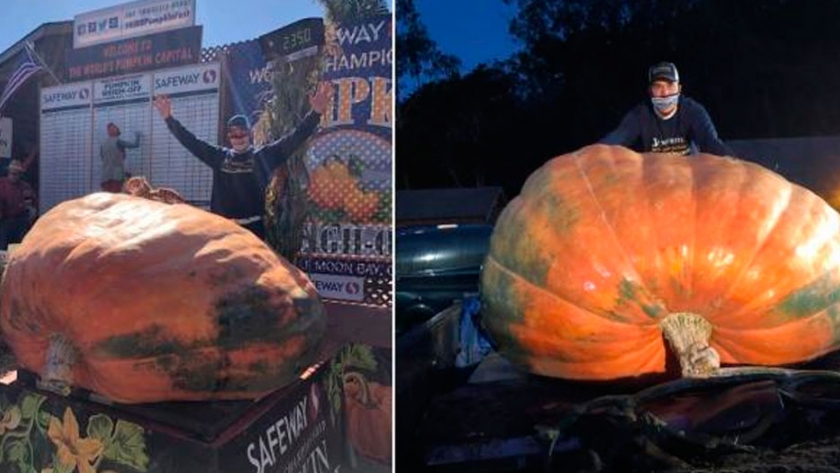 Un hombre gana un concurso de calabazas con una de 1.065 kilos de peso