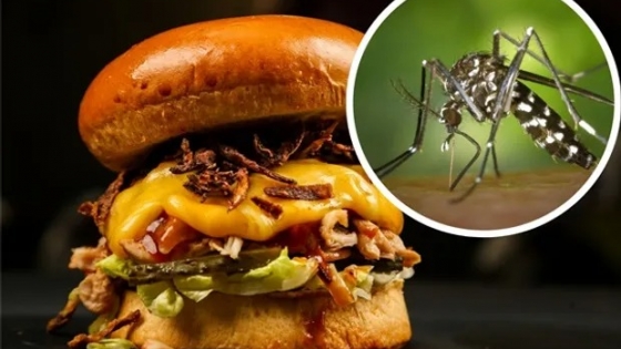 Se pueden hacer hamburguesas de mosquito?