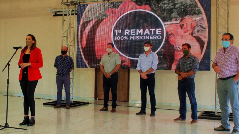 El primer remate ganadero virtual y televisado de Misiones logró superar las expectativas
