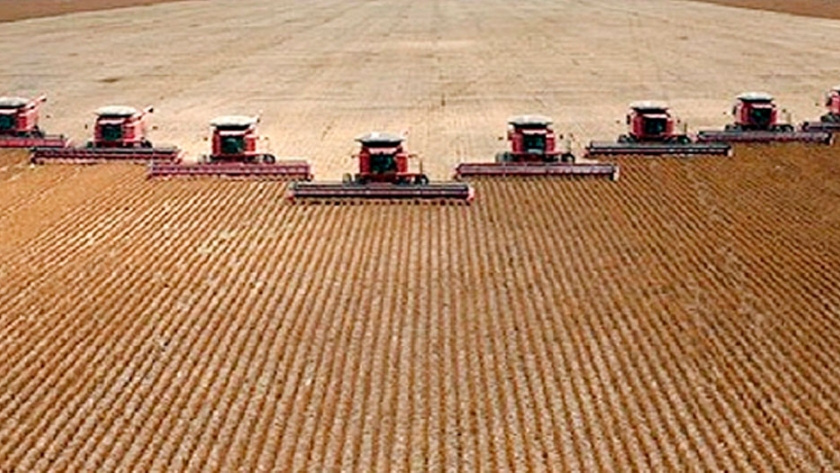 Cresud, MSU y Adecoagro: Los mayores pooles de siembra esperan márgenes muy ajustados y temen por el maíz