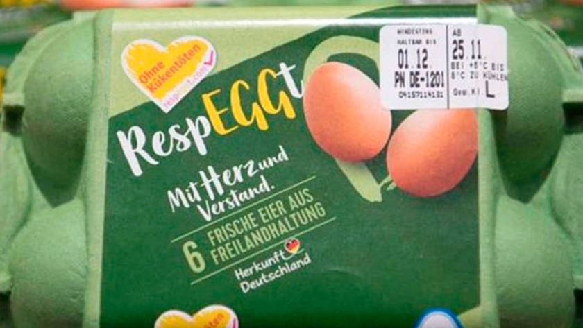 Salieron al mercado los primeros huevos no asociados al sacrificio de pollitos