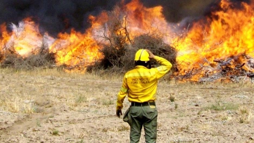 Resumen de incendios forestales durante enero y febrero de 2020