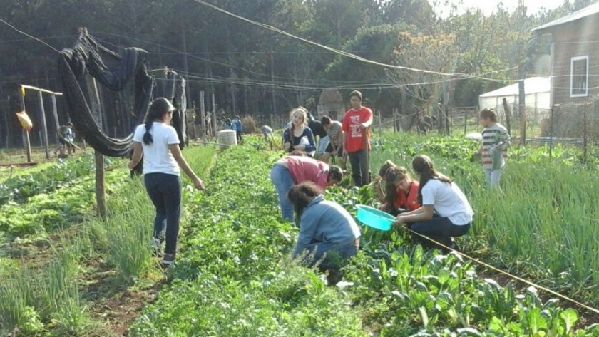 Convocatoria de Proyectos Didáctico-Productivos para Escuelas Agropecuarias y Rurales