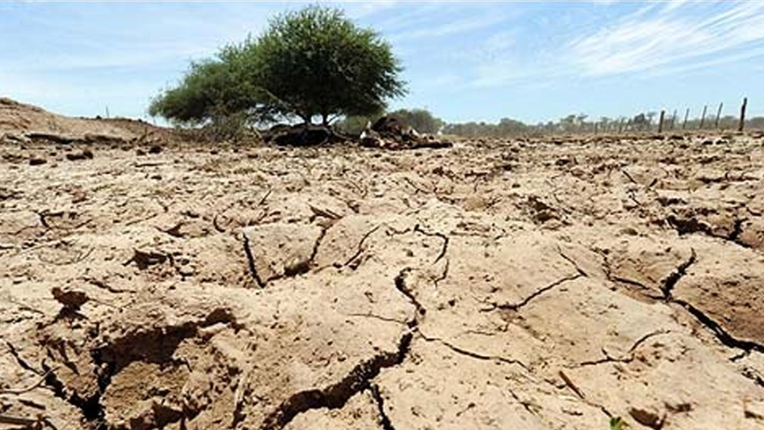 Maximino Abrego: "Los efectos de la sequía se están haciendo sentir en los Llanos Riojanos"