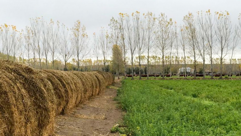El Programa de Financiamiento de la Diversificación Productiva avanza a paso firme