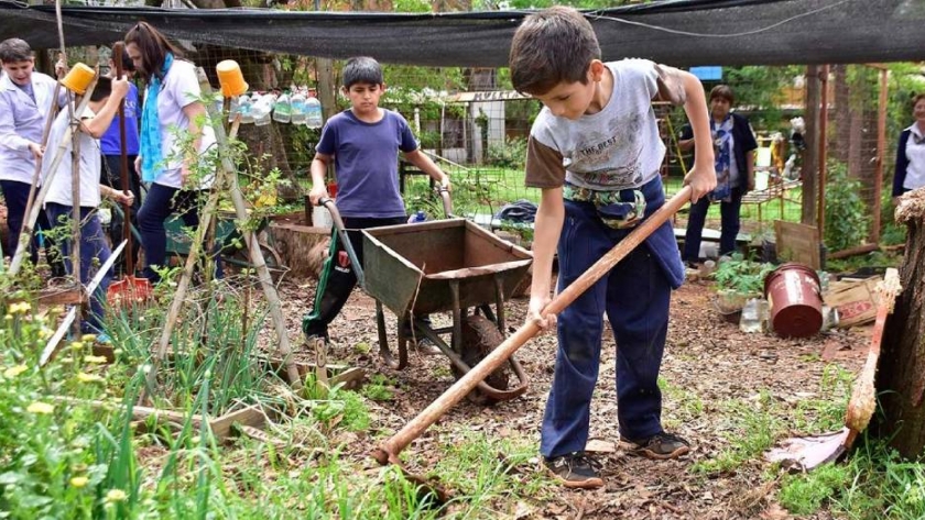 Huertas escolares: los chicos aprenden a producir sembrando