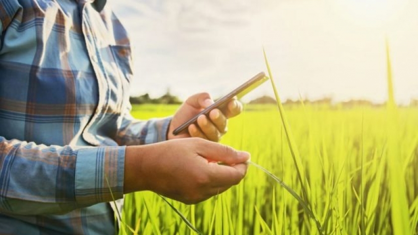 Buenas condiciones de financiamiento para el agro argentino