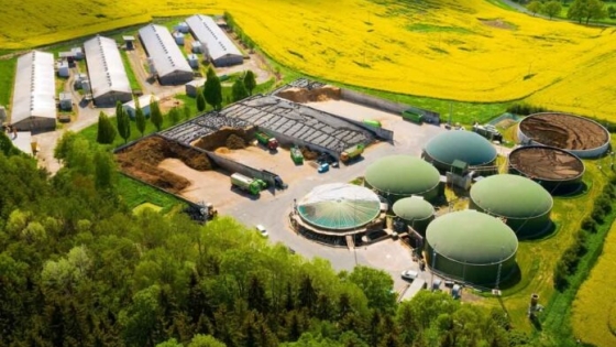 Revolución en el biogás: la nueva tecnología biológica que lo hace más limpio y eficiente