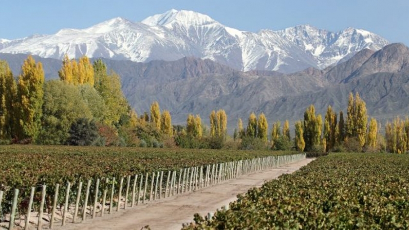El Metrotranvía y la tierra del Malbec, en el ciclo de seminarios web