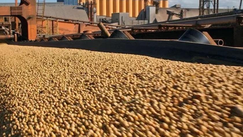 El próximo gobierno recibirá el doble de dólares de la exportación de soja