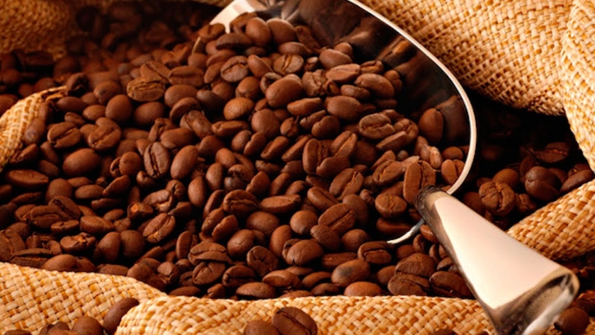 Café: una ola de calor en Brasil abrasa los granos