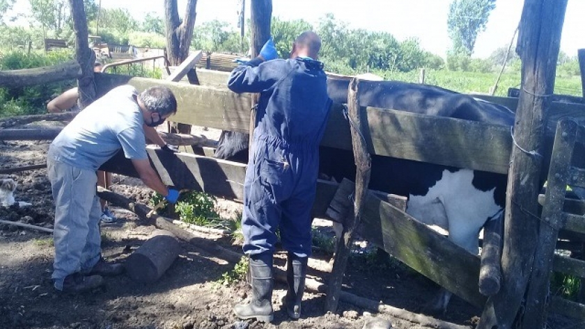 Impulso al desarrollo de la agricultura familiar en localidades del norte bonaerense