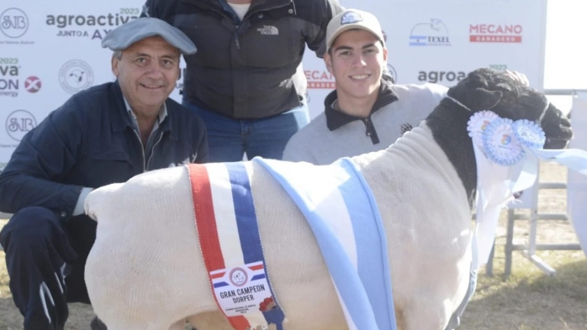 Agroactiva Ganadera tendrá la mayor exposición de reproductores ovinos
