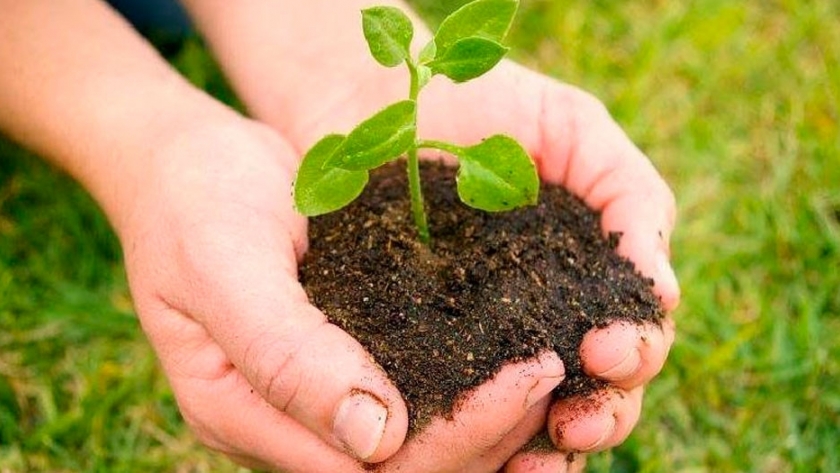 Córdoba es la primera provincia en aplicar la ley de Buenas Prácticas Agrícolas
