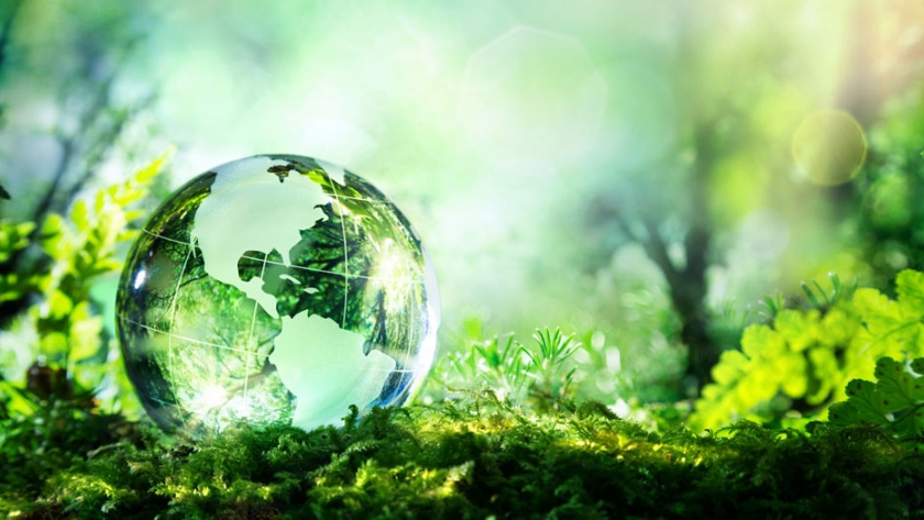 Evaluando la sustentabilidad