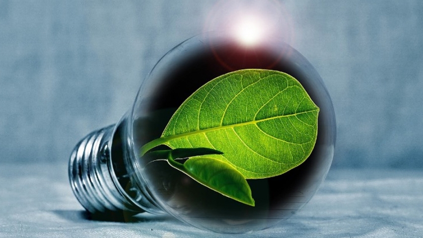 Relevamiento de emprendimientos productivos sustentables