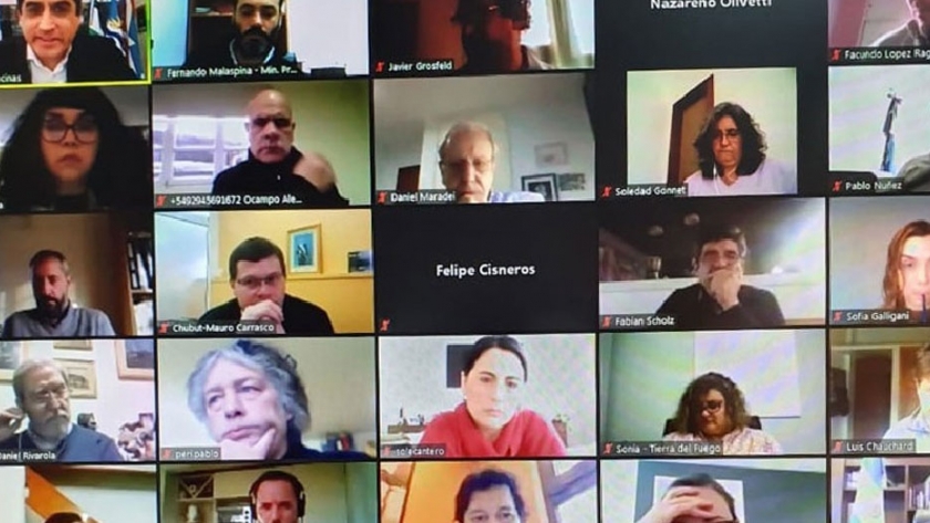 Se desarrolló la primera reunión virtual del Consejo Directivo del CIEFAP 2020