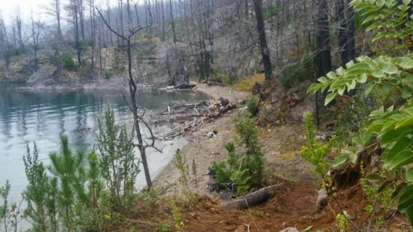 Bosques y Cooperativa de Trabajo de Puerto Patriada avanzan en la restauración de la reserva Epuyén