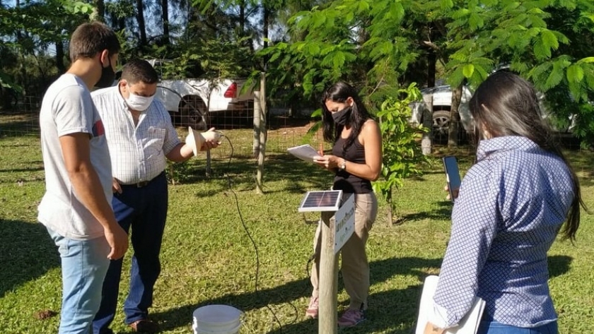 Visitas técnicas a establecimientos arandaneros asentados en el departamento Bella Vista