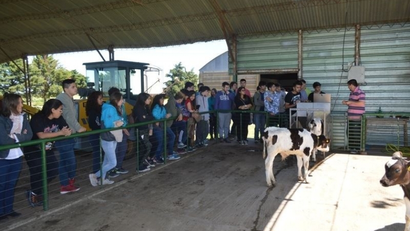 Aprender a producir de manera sustentable,desde la escuela